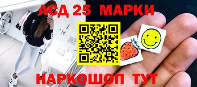 гашик Моздок