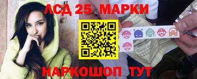 гашик Моздок