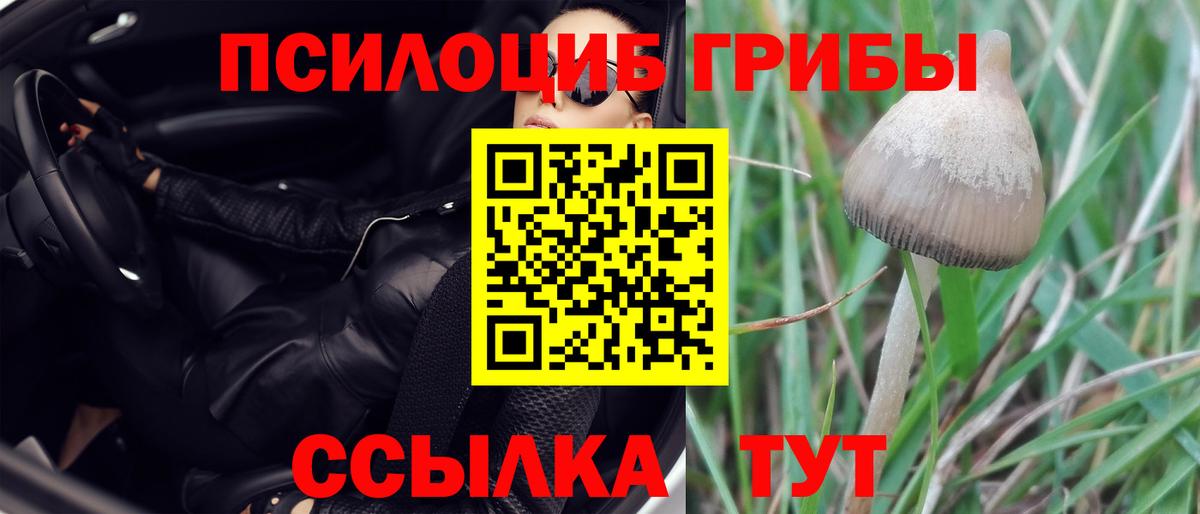 Владикавказ  Галлюциногенные грибы мицелий  Вход с VPN 