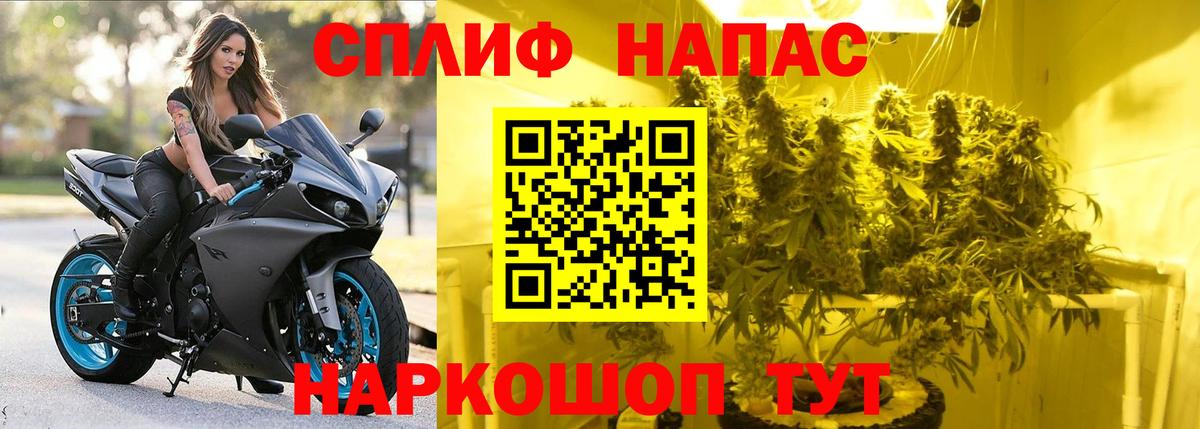 Бошки Шишки марихуана  МАРИХУАНА индика  Владикавказ  Вход с VPN  Марихуана VHQ 
